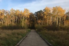 Quarry-Park-Bridge-scaled