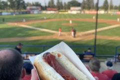 rox-baseball
