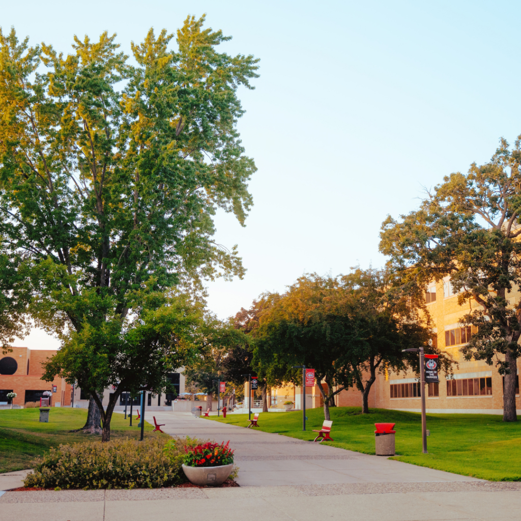 SCSU Campus
